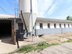 Pronájem skladu, Holubice, 1760 m2