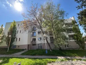 Pronájem bytu 1+kk, Zlín, Ševcovská, 37 m2