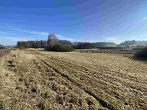 Prodej pole, Kváskovice, 10470 m2