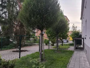 Prodej bytu 1+kk, Uherské Hradiště, Rostislavova, 40 m2
