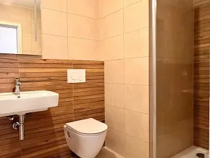 Pronájem bytu 1+kk, Plzeň, Železná, 34 m2