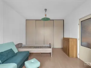 Pronájem bytu 1+1, Hradec Králové, Jungmannova, 45 m2