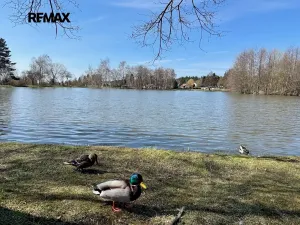 Prodej rodinného domu, Struhařov, 111 m2