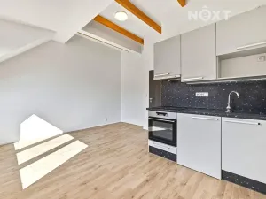 Prodej bytu 1+kk, Praha - Libeň, V zahradách, 26 m2