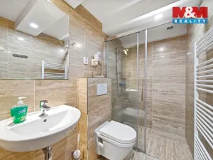 Prodej ubytování, Čenkovice, 297 m2