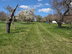 Prodej zahrady, Křenovice, 4967 m2