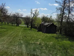 Prodej zahrady, Křenovice, 4967 m2