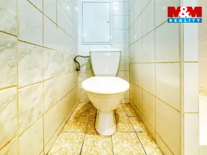 Pronájem obchodního prostoru, Písek, Čechova, 53 m2