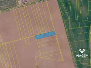 Prodej pole, Letovice, 3910 m2