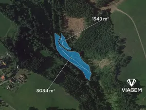 Prodej podílu lesa, Stružinec, 4813 m2