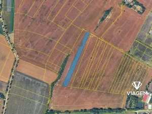 Prodej podílu pole, Kostelní Hlavno, 2030 m2