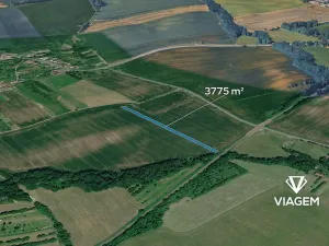 Prodej pole, Loukov, 3775 m2