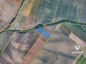 Prodej podílu pole, Dřísy, 1550 m2