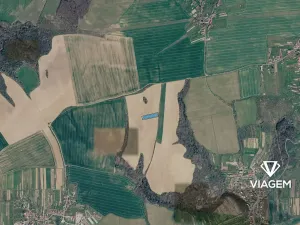 Prodej pole, Žeravice, 3824 m2