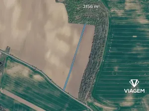 Prodej pole, Žeravice, 3156 m2