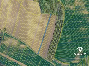 Prodej pole, Žeravice, 3156 m2