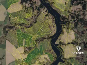 Prodej lesa, Šetějovice, 1557 m2