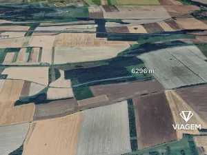 Prodej podílu lesa, Nové Strašecí, 3148 m2