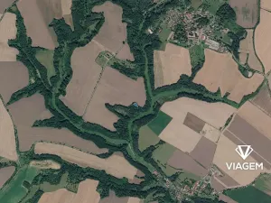 Prodej lesa, Lobeč, 766 m2