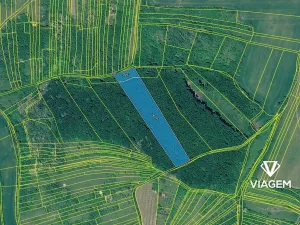 Prodej podílu lesa, Klobouky u Brna, 1086 m2