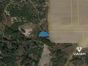 Prodej podílu lesa, Řendějov, 1292 m2