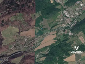 Prodej podílu lesa, Vráž, 768 m2