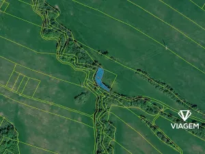 Prodej lesa, Ženklava, 1238 m2