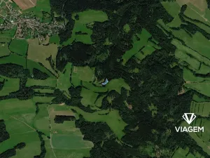 Prodej lesa, Postřelmůvek, 1909 m2