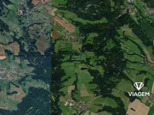 Prodej lesa, Svébohov, 4911 m2