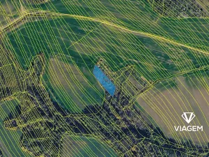 Prodej lesa, Jalubí, 2603 m2