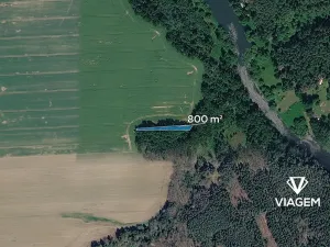 Prodej lesa, Bechyně, 800 m2