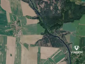 Prodej lesa, Bechyně, 800 m2