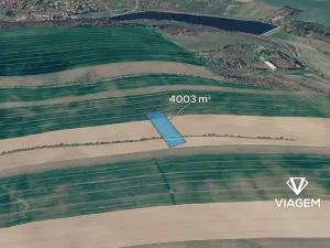 Prodej podílu pole, Boršice, 400 m2