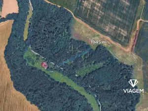Prodej lesa, Jindřichov, 1945 m2