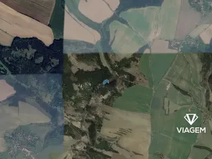 Prodej lesa, Zbizuby, 2112 m2