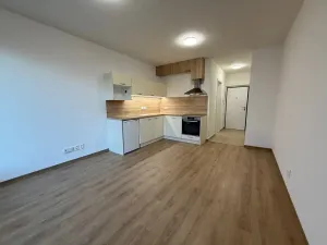 Pronájem bytu 1+kk, Plzeň, Kartónová, 39 m2