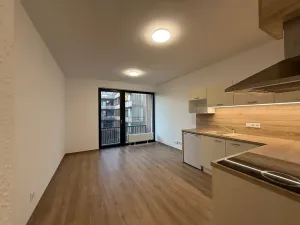 Pronájem bytu 1+kk, Plzeň, Kartónová, 39 m2