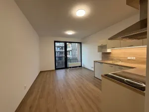 Pronájem bytu 1+kk, Plzeň, Kartónová, 39 m2