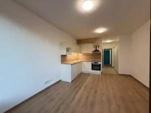 Pronájem bytu 1+kk, Plzeň, Kartónová, 39 m2