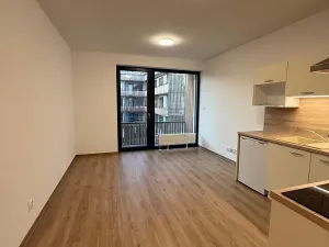 Pronájem bytu 1+kk, Plzeň, Kartónová, 39 m2
