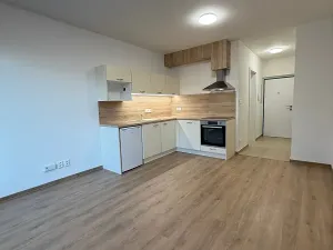 Pronájem bytu 1+kk, Plzeň, Kartónová, 39 m2