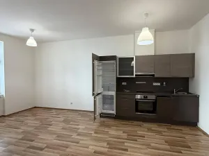 Pronájem bytu 1+kk, České Budějovice, Kostelní, 43 m2