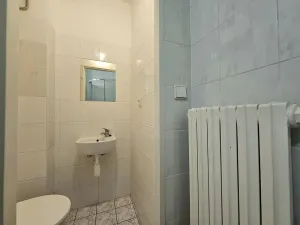 Pronájem bytu 1+kk, Brno, Čechyňská, 25 m2
