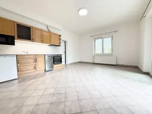 Pronájem bytu 2+kk, Čeminy, 55 m2