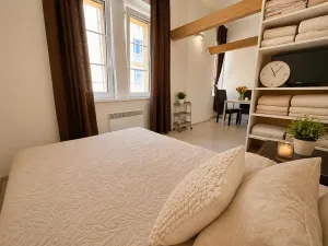 Prodej bytu 1+kk, Praha - Libeň, Hejtmánkova, 25 m2
