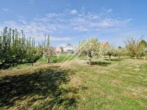 Prodej pozemku pro bydlení, Brázdim, 1564 m2