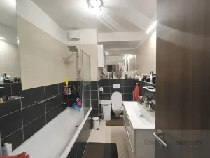 Prodej bytu 2+kk, Praha - Vysočany, Pod Harfou, 53 m2
