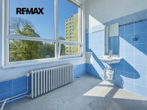 Pronájem obchodního prostoru, Nový Bor, Tř. T. G. Masaryka, 48 m2
