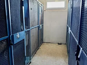 Prodej bytu 2+1, Podbořany, Sídliště Míru, 66 m2