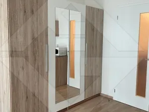 Pronájem bytu 1+kk, Praha - Žižkov, Olgy Havlové, 37 m2